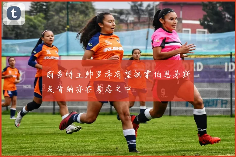 前多特主帅罗泽有望执掌伯恩茅斯麦肯纳亦在考虑之中